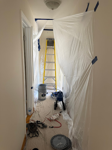 Gallery image 3 — basement mold removal Lake County