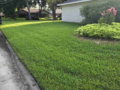 Gallery image 3 — lawn care in Houston