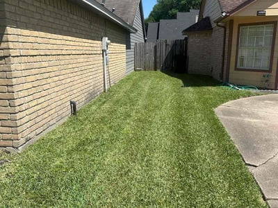 Gallery image 5 — lawn care in Houston