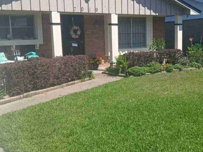 Gallery image 4 — lawn care in Houston