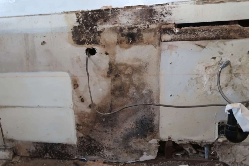 Gallery image 10 — black mold removal Chicago