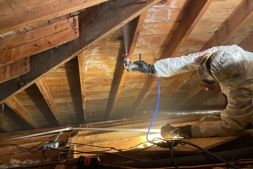 Gallery image 9 — black mold removal Chicago