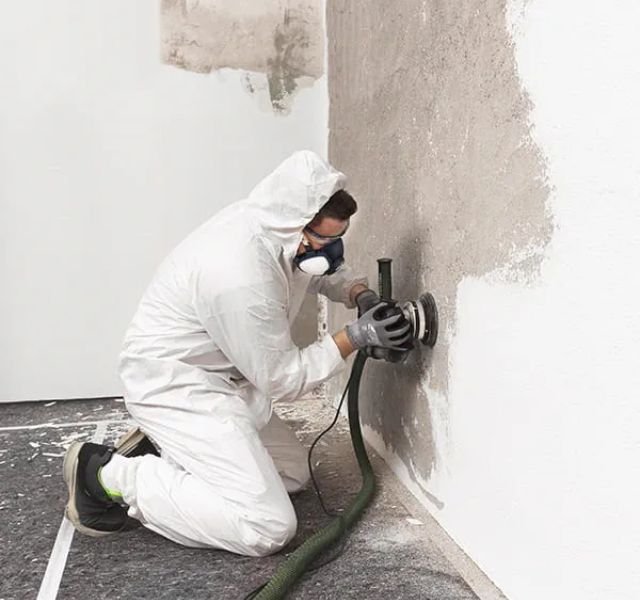 black mold removal Chicago
