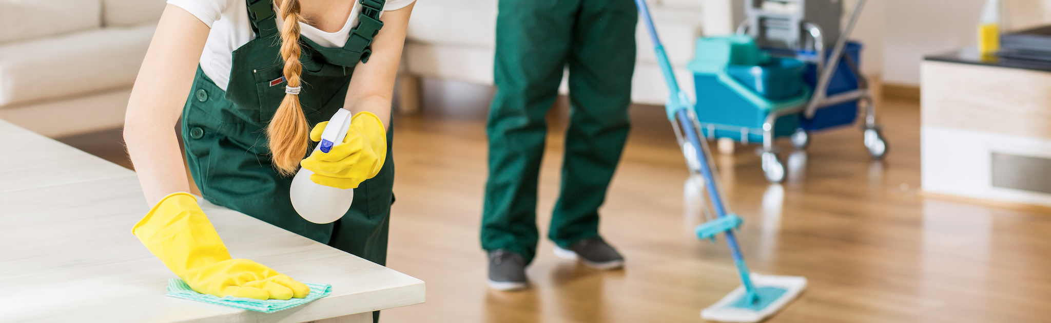 About window cleaning service DFW