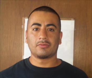 About mold removal Chicago