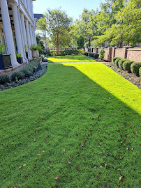 Gallery image 5 — native plant maintenance Houston