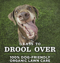 Gallery image 2 — native plant maintenance Houston