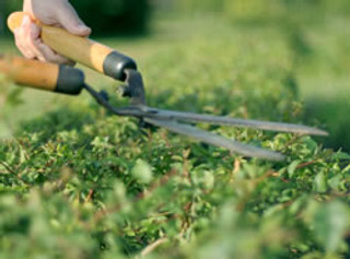 Gallery image 3 — weed control service in Pearland