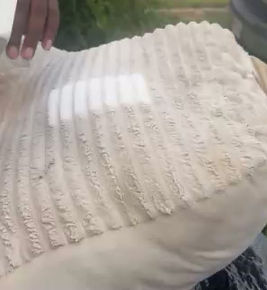 Gallery image 2 — affordable carpet cleaning in Dallas