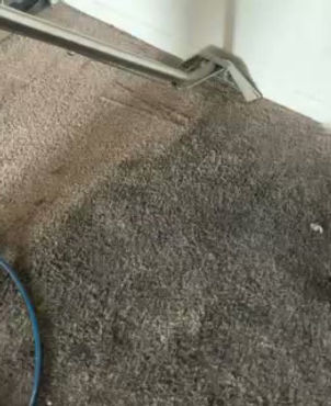 Gallery image 1 — affordable carpet cleaning in Dallas