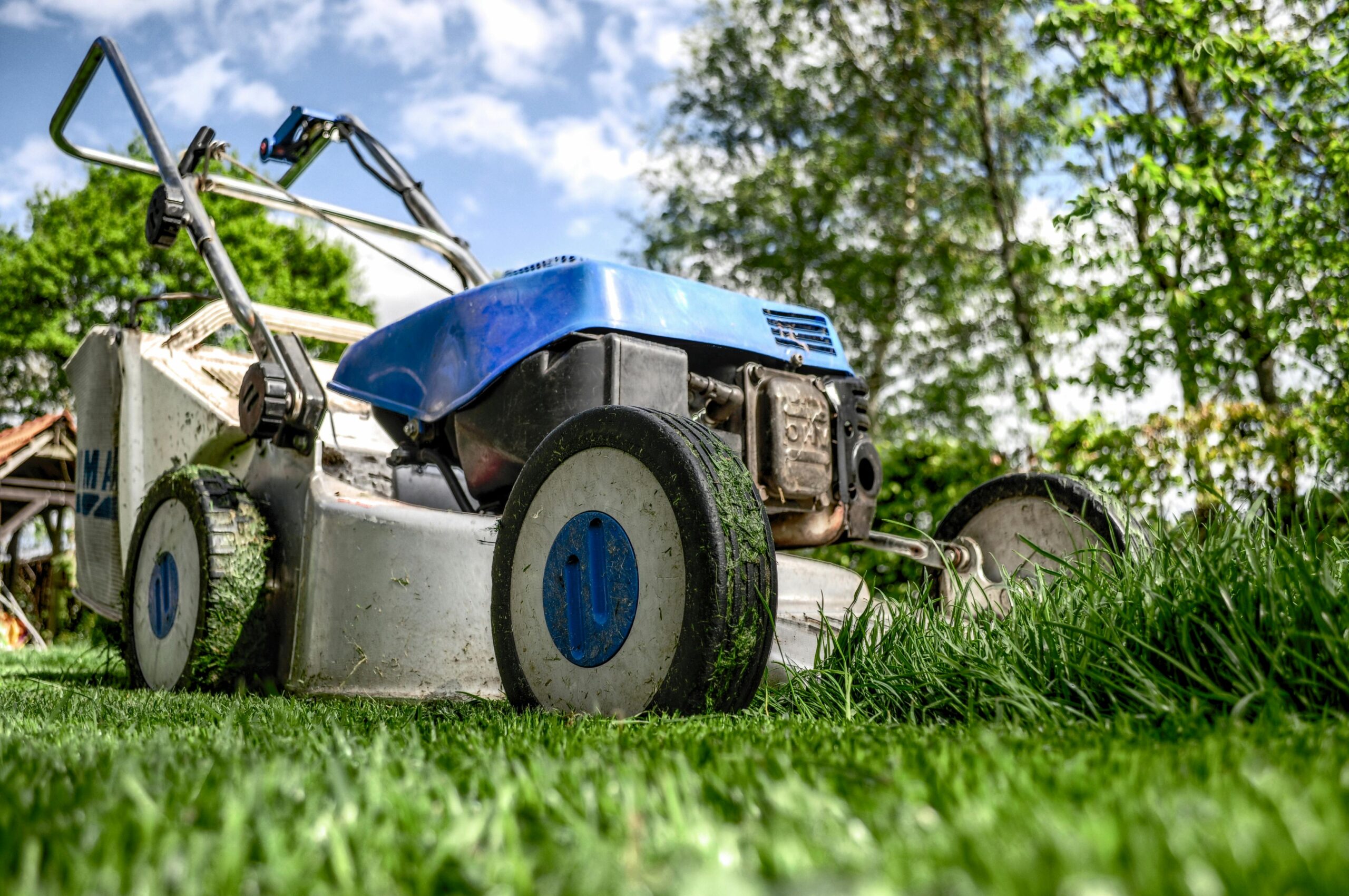 Gallery image 5 — weekly lawn mowing Houston
