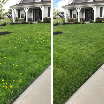 Gallery image 11 — lawn maintenance North Houston