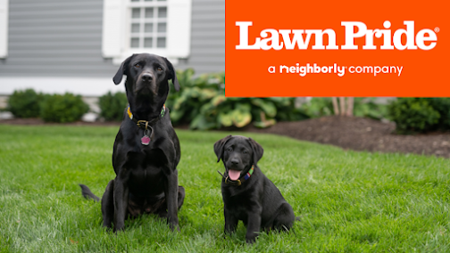 Gallery image 9 — lawn maintenance North Houston