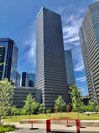 About move in move out cleaning Texas