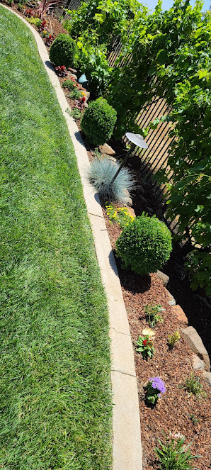 Gallery image 2 — landscaping in San Jose