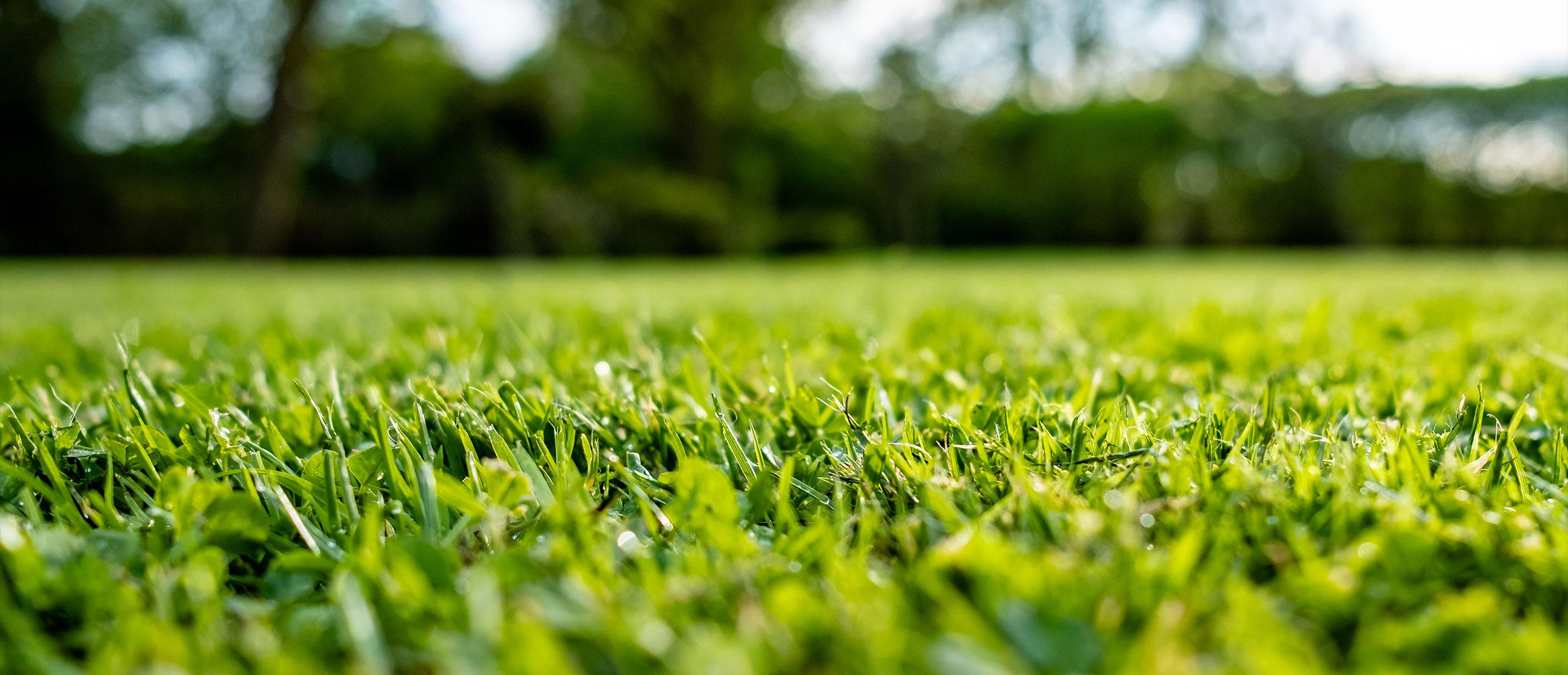 irrigation repair near me