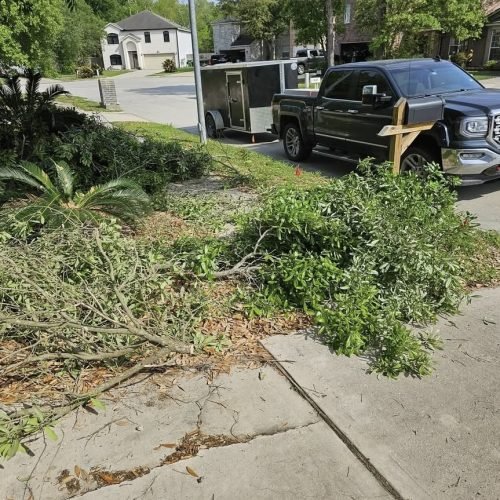 Gallery image 11 — junk removal for yard Houston
