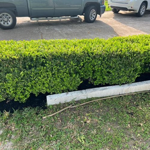 Gallery image 4 — junk removal for yard Houston