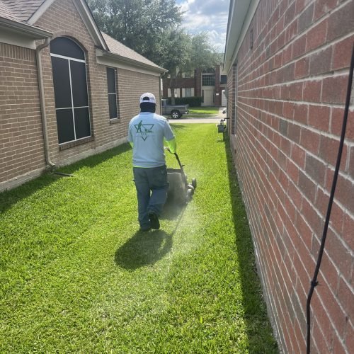 junk removal for yard Houston