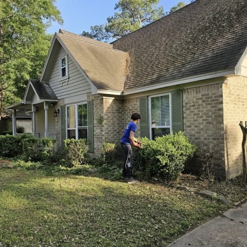 Gallery image 6 — junk removal for yard Houston