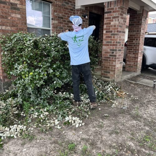 Gallery image 7 — junk removal for yard Houston