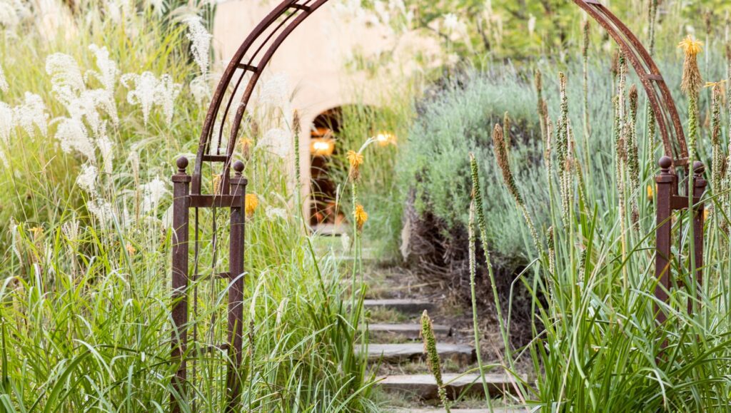 Gallery image 6 — regenerative landscape maintenance South San Francisco