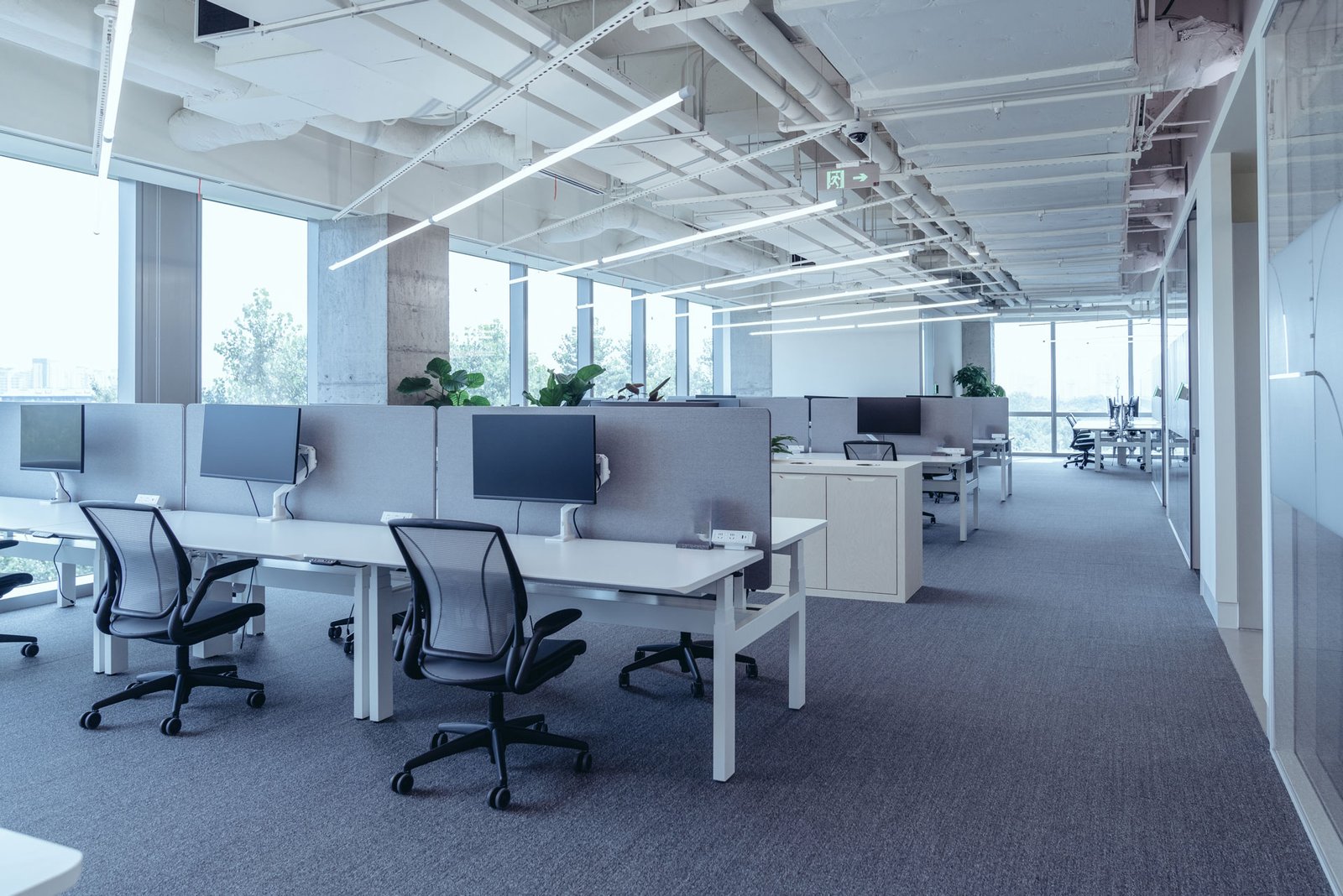 Gallery image 1 — Blueblack Cleaning Services