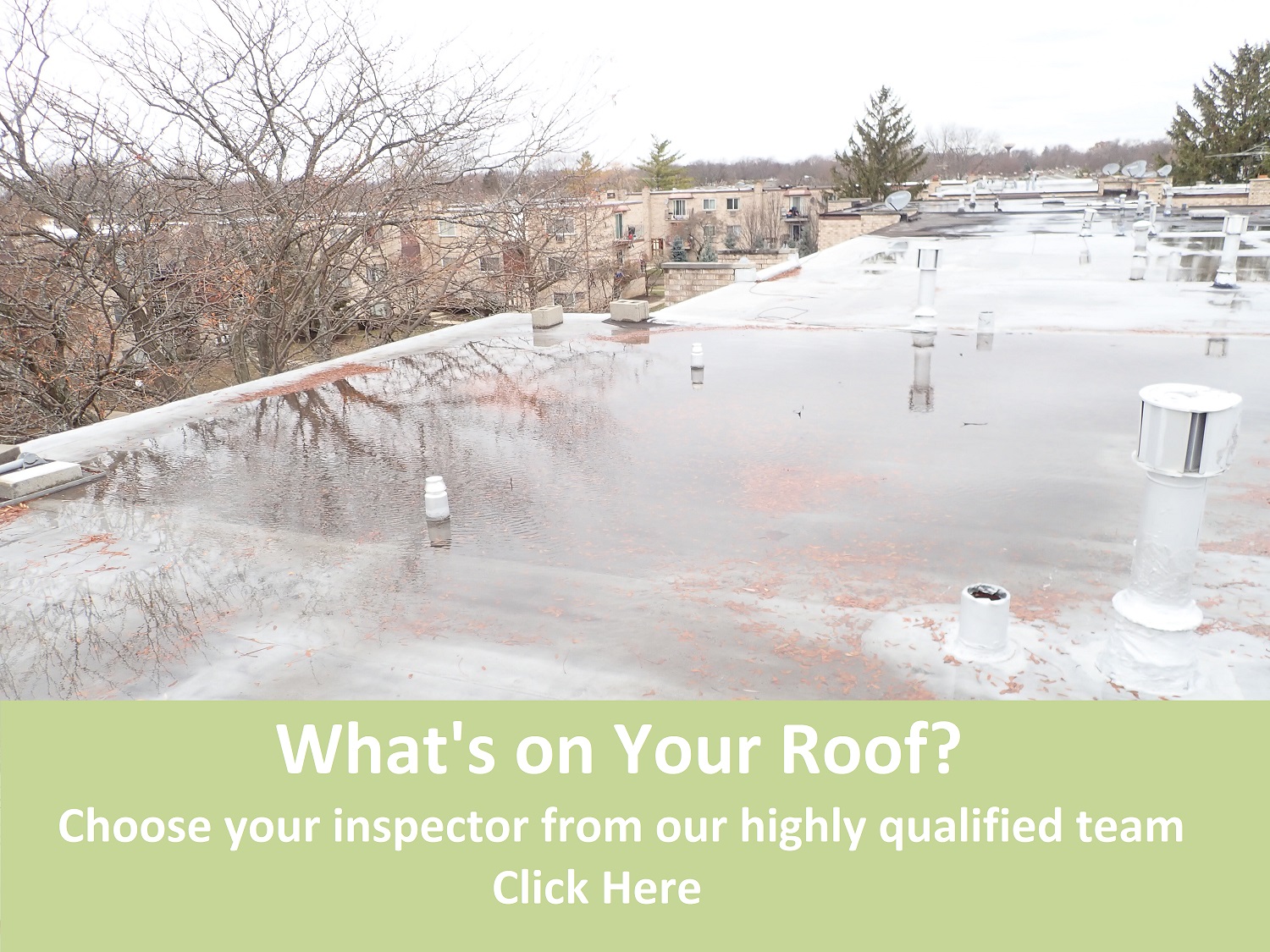 Gallery image 5 — thermal imaging inspection Chicago