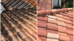 Gallery image 6 — power sweeping services Orlando