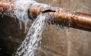 Gallery image 6 — 24/7 flood cleanup Chicago suburbs