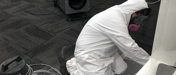 hardwood floor drying Chicago