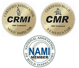 Gallery image 3 — home mold inspection Downers Grove