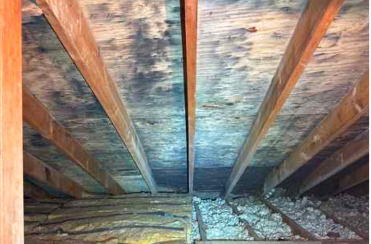 Gallery image 2 — home mold inspection Downers Grove