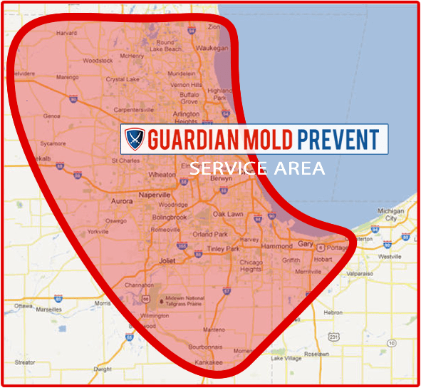 Gallery image 7 — home mold inspection Downers Grove