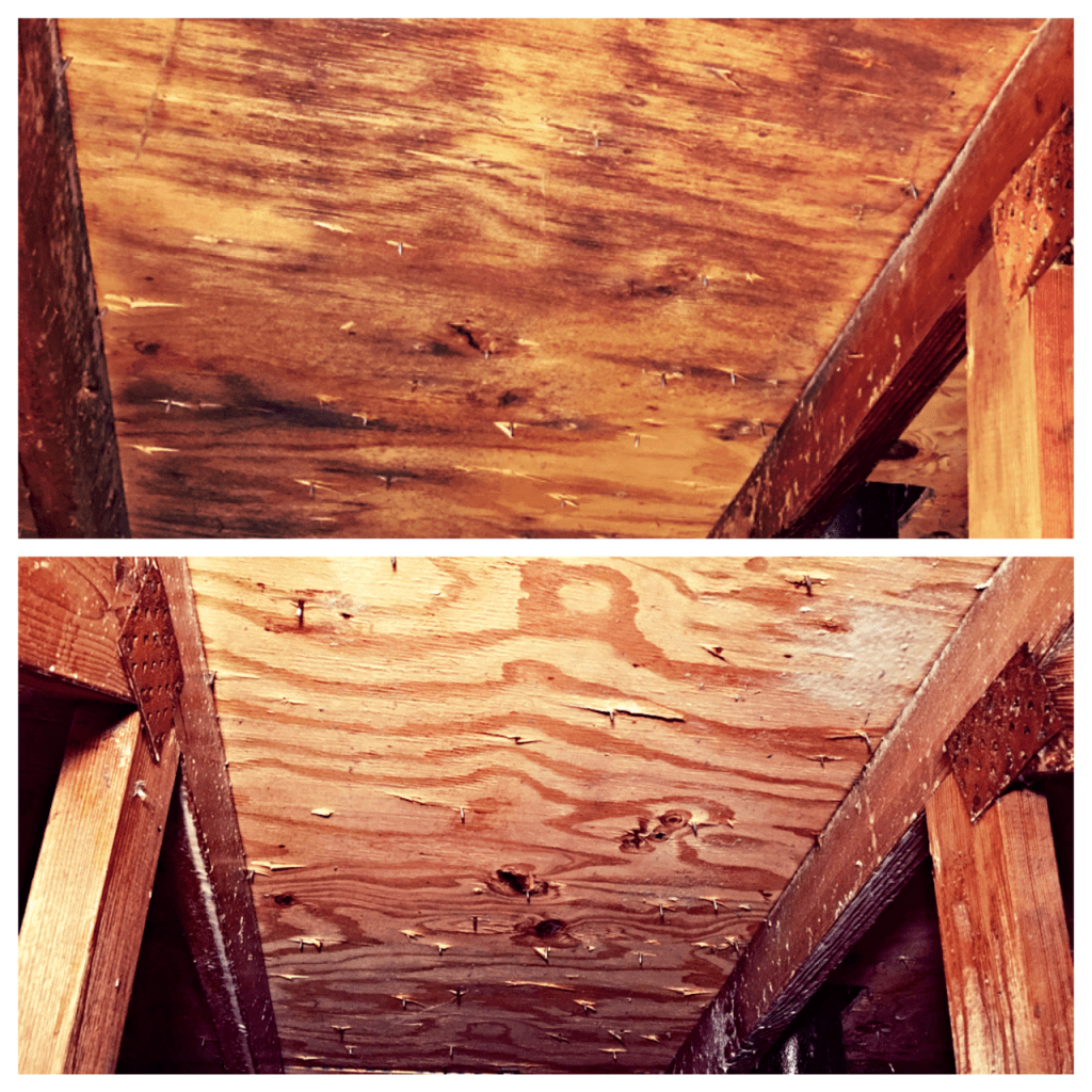 Gallery image 6 — home mold inspection Downers Grove