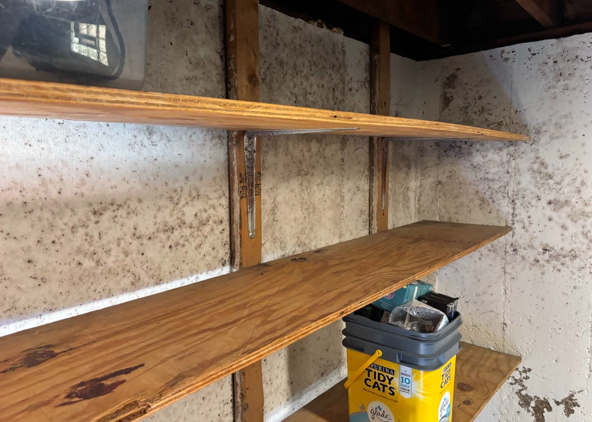 Gallery image 8 — home mold inspection Downers Grove