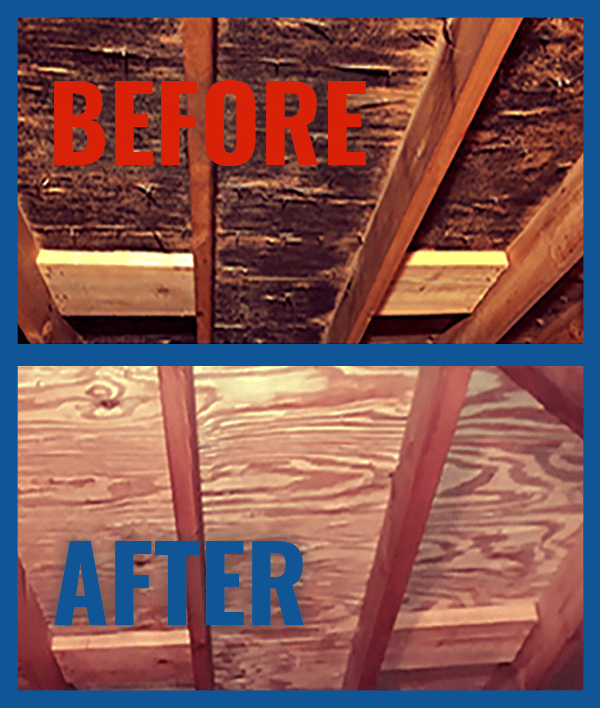 Gallery image 4 — home mold inspection Downers Grove