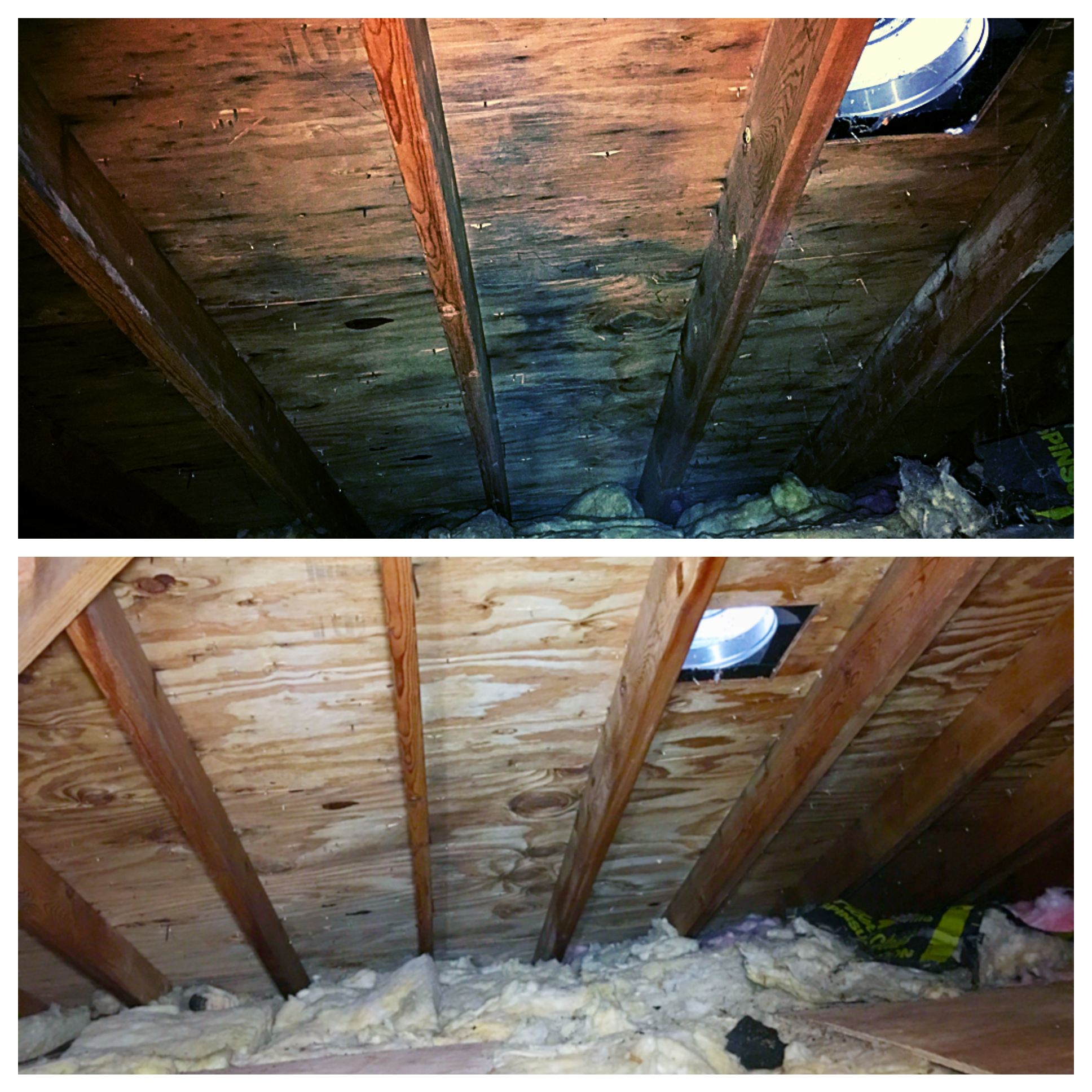 Gallery image 1 — home mold inspection Downers Grove