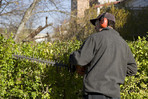 About yard cleanup San Jose