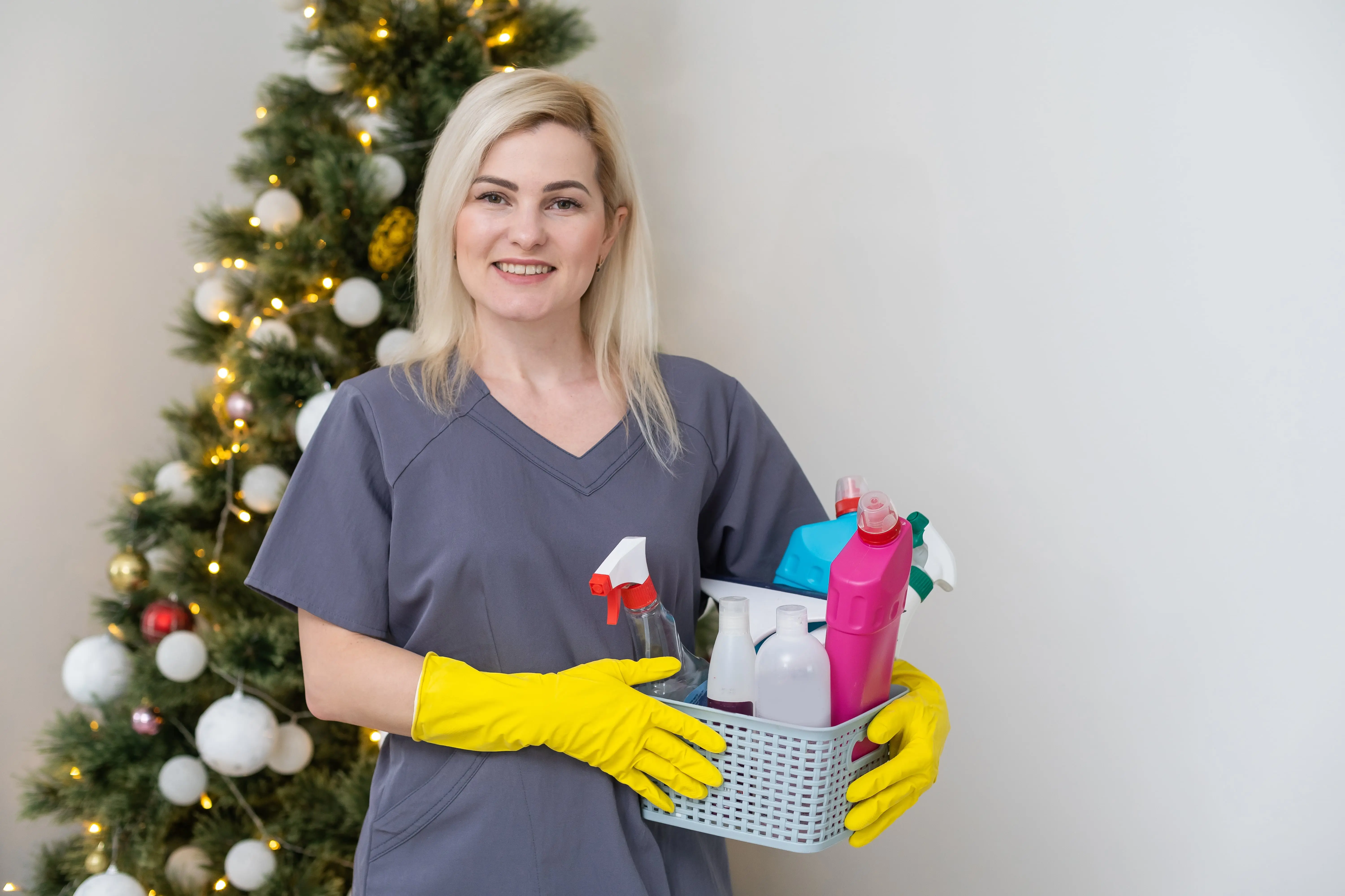 Gallery image 3 — standard cleaning San Diego