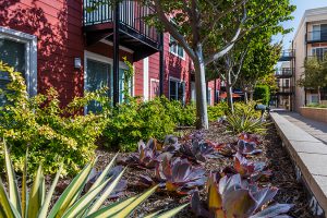 Gallery image 29 — HOA landscape maintenance Greater Sacramento
