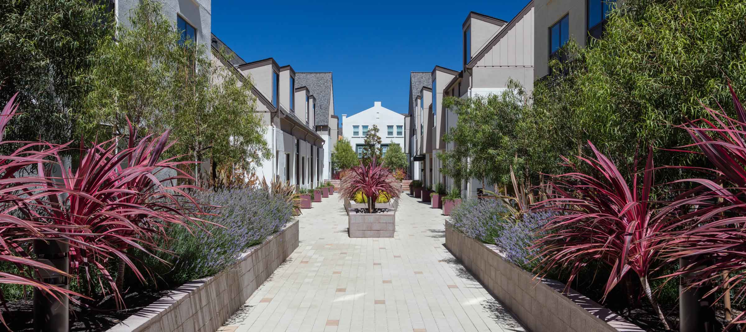 About HOA landscape maintenance Greater Sacramento