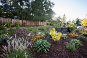 Gallery image 2 — HOA landscape maintenance Greater Sacramento