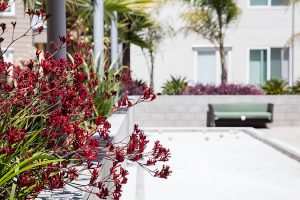 Gallery image 7 — HOA landscape maintenance Greater Sacramento