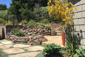 Gallery image 28 — HOA landscape maintenance Greater Sacramento