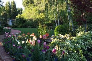 Gallery image 23 — HOA landscape maintenance Greater Sacramento