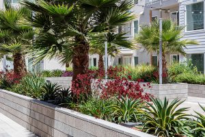Gallery image 32 — HOA landscape maintenance Greater Sacramento