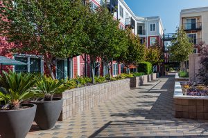 Gallery image 8 — HOA landscape maintenance Greater Sacramento