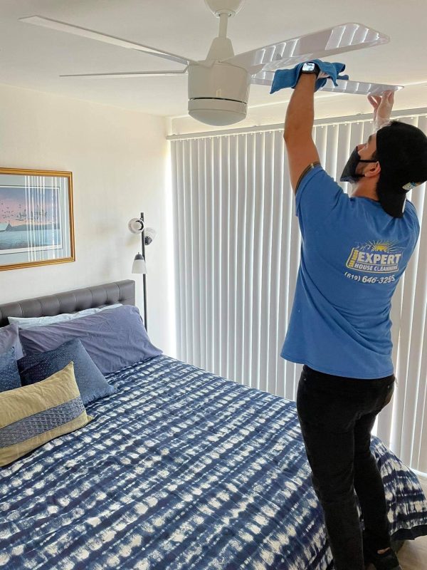 About professional house cleaners near me