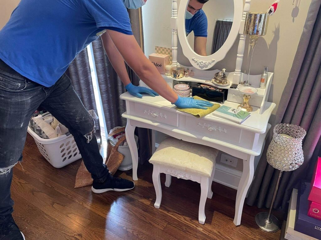 professional house cleaners near me